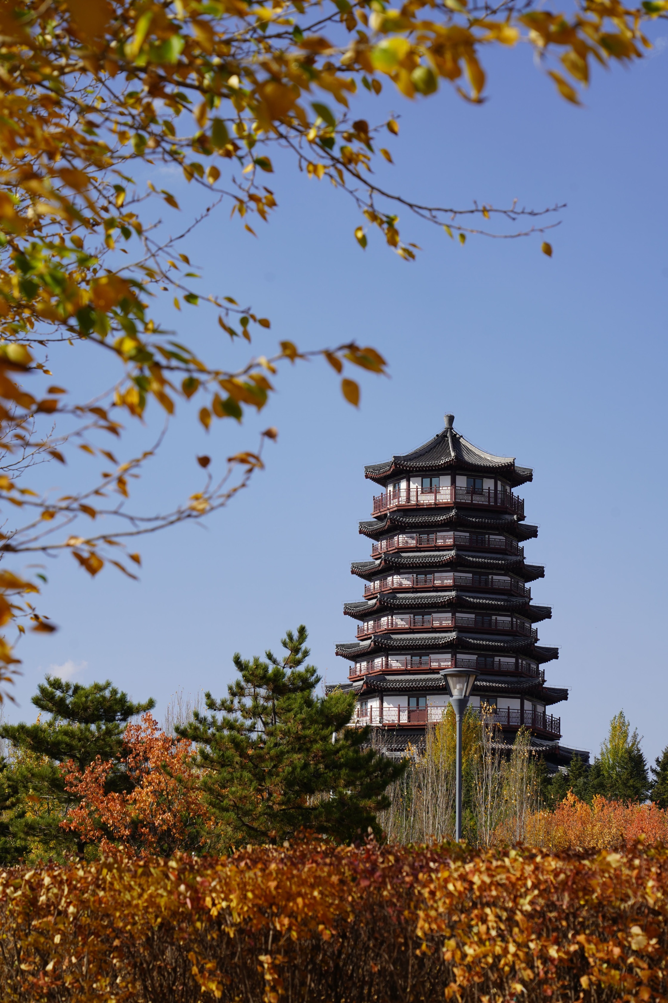 河北省张家口市张北县南山公园美景